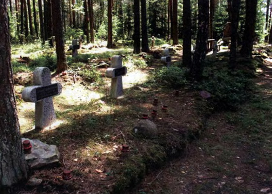 Российское лазаретное кладбище, восстановленное Б. Титовичем в д. Забродье Вилейского района (Белоруссия) 