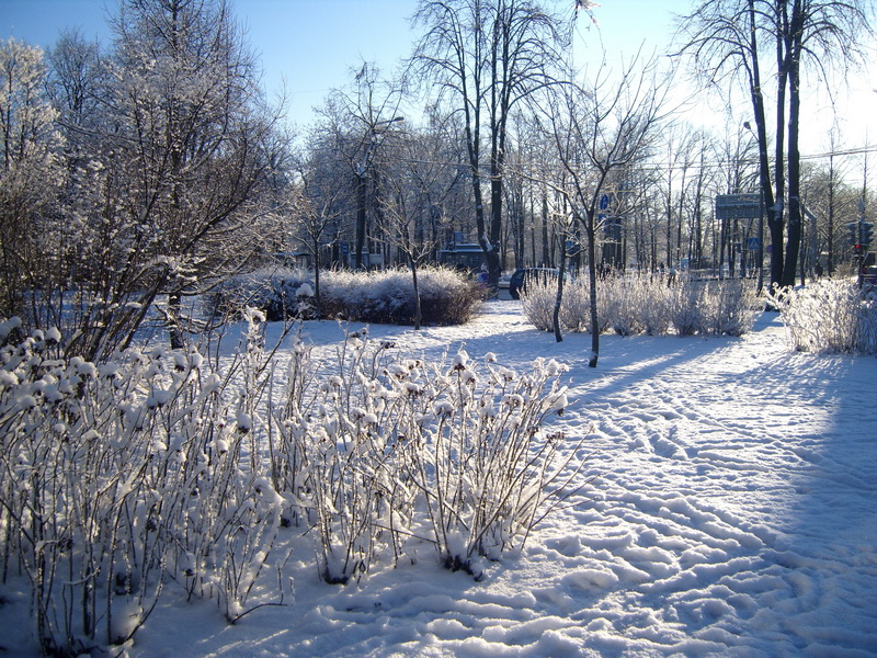 Зимняя Стрельна… Фото Кирилла Козлова.